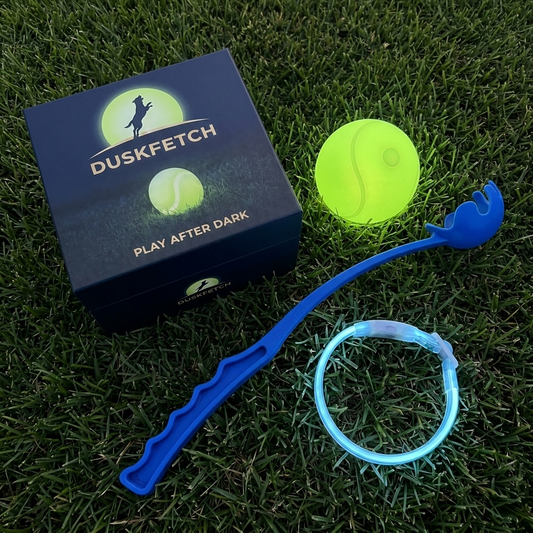 Night Fetch Kit
